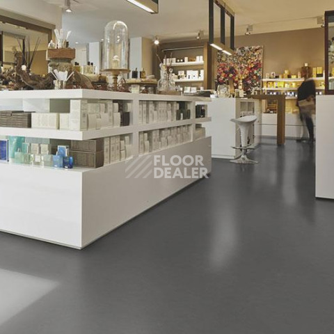 Forbo Marmoleum Decibel on Order 336835 grey iron фото 2 | FLOORDEALER